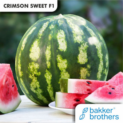 Сrimson Sweet